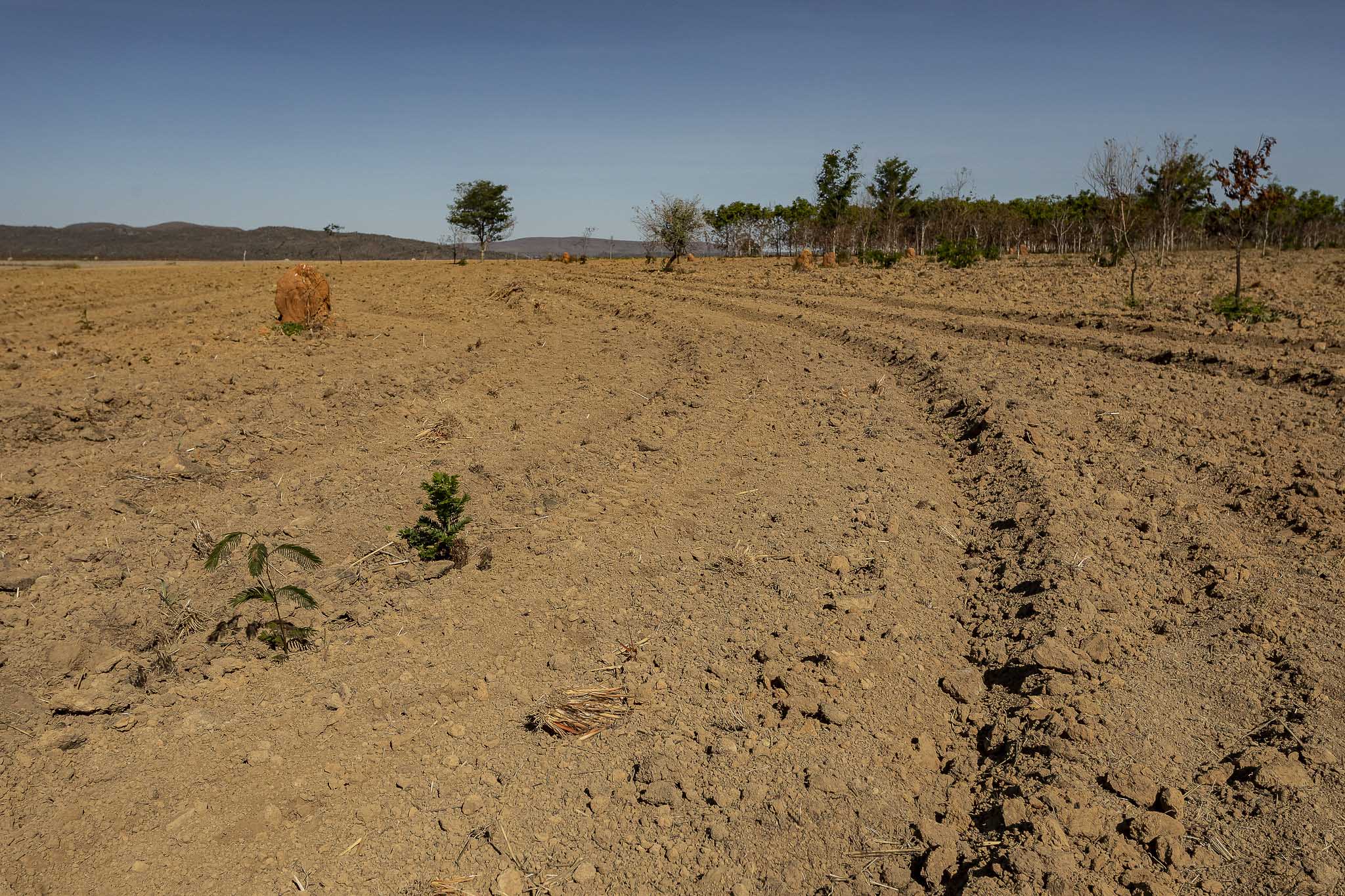 Imagem Restauração Ecológica PA4--8 da expedição de expedicoes/restauracao_25